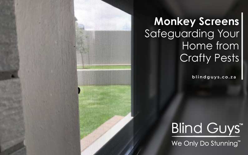 Monkey Screens Safeguarding your home from crafty pests